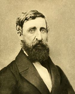 Henry David Thoreau Tarafından Söylenen Sözler