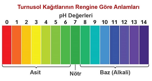 Baz Özelliği Gösteren Maddeler Nelerdir Baz Özelliği Ne Demek