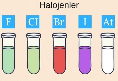 Halojenlerin Kullanım Alanları Nelerdir Günlük Hayatımızda Halojenlerin Yeri