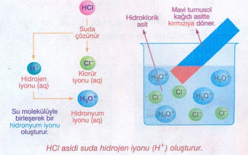 Asitlerin İyonlaşması Nedir