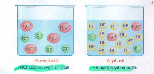 Asitlerin Kuvvetli ve Zayıf Olduğunu Nasıl Anlarız