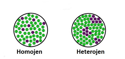 Homojen ve Heterojen Karışım Nedir Örnekler